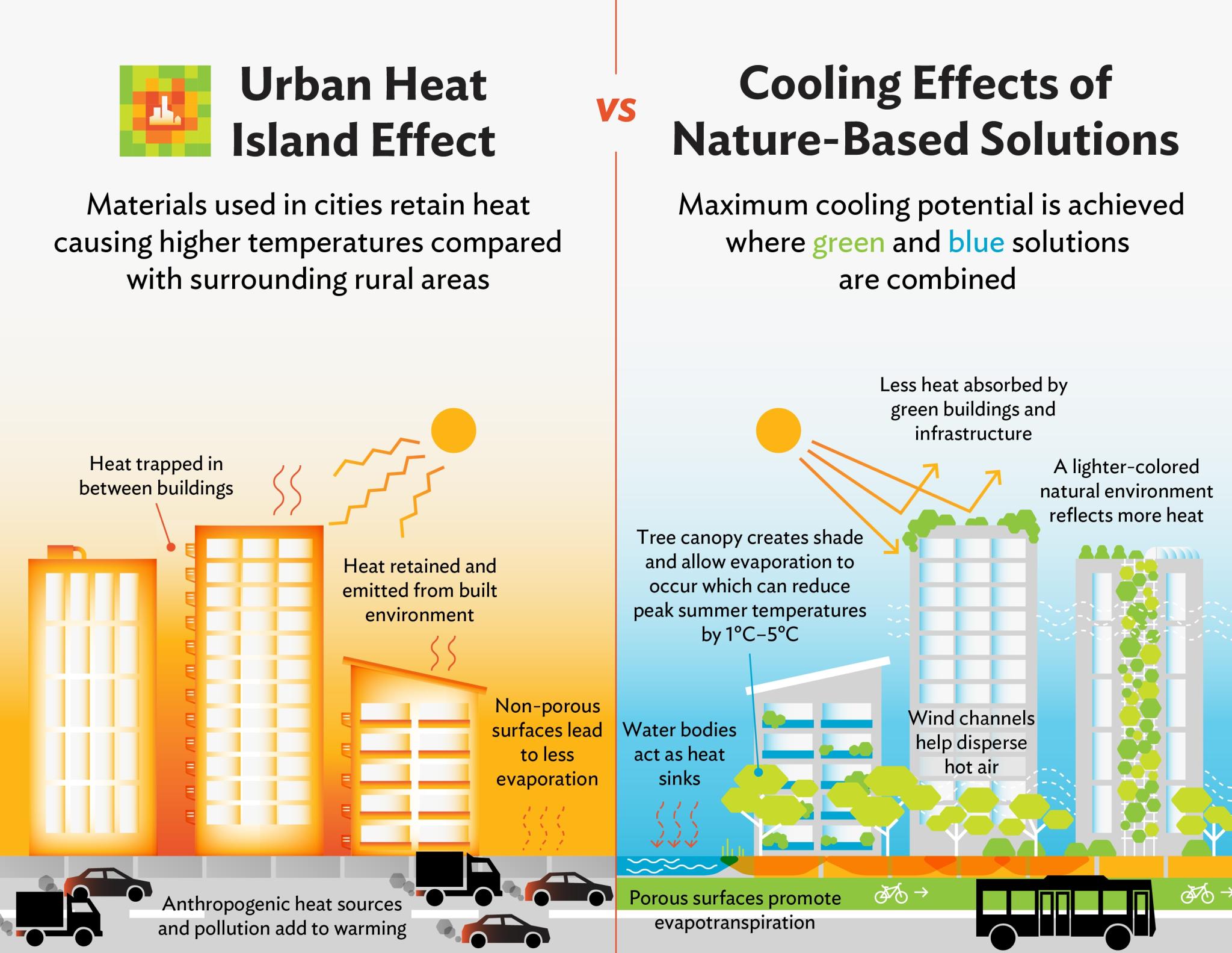 The world’s largest cities under climate change and their adaptive capacity to rising heat – Nature